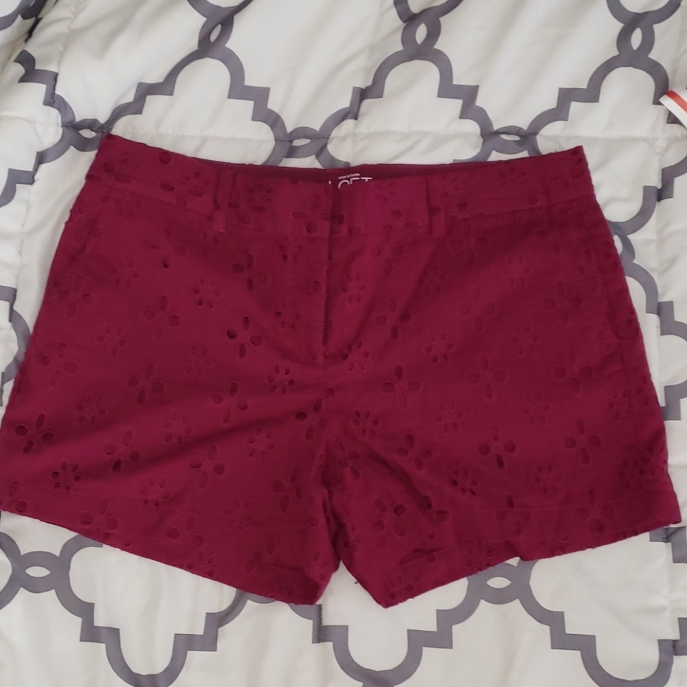 Ann Taylor Loft Purple Eyelet Shorts Size 8 Orig